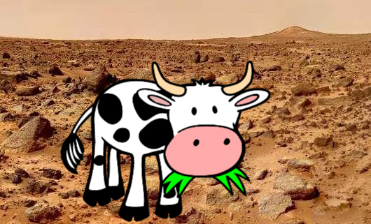 Mars Cow